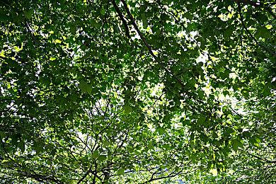 虚幻5打猎新作《终极狩猎》公布 推荐RTX 3070显卡