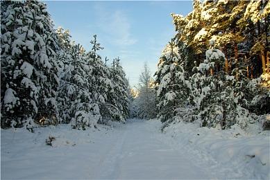 《战锤40K：星际战士2》新预告 为了帝皇杀戮虫子